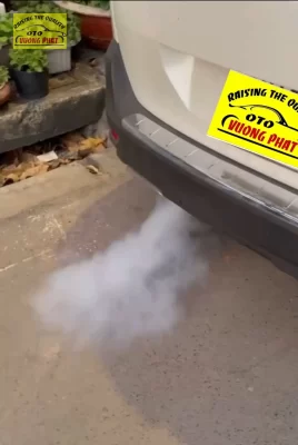 Tình trạng pô xe ô tô Peugeot ra khói trắng 